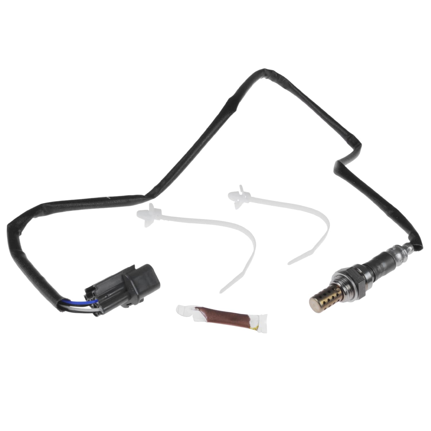 ADC47053_1.jpg