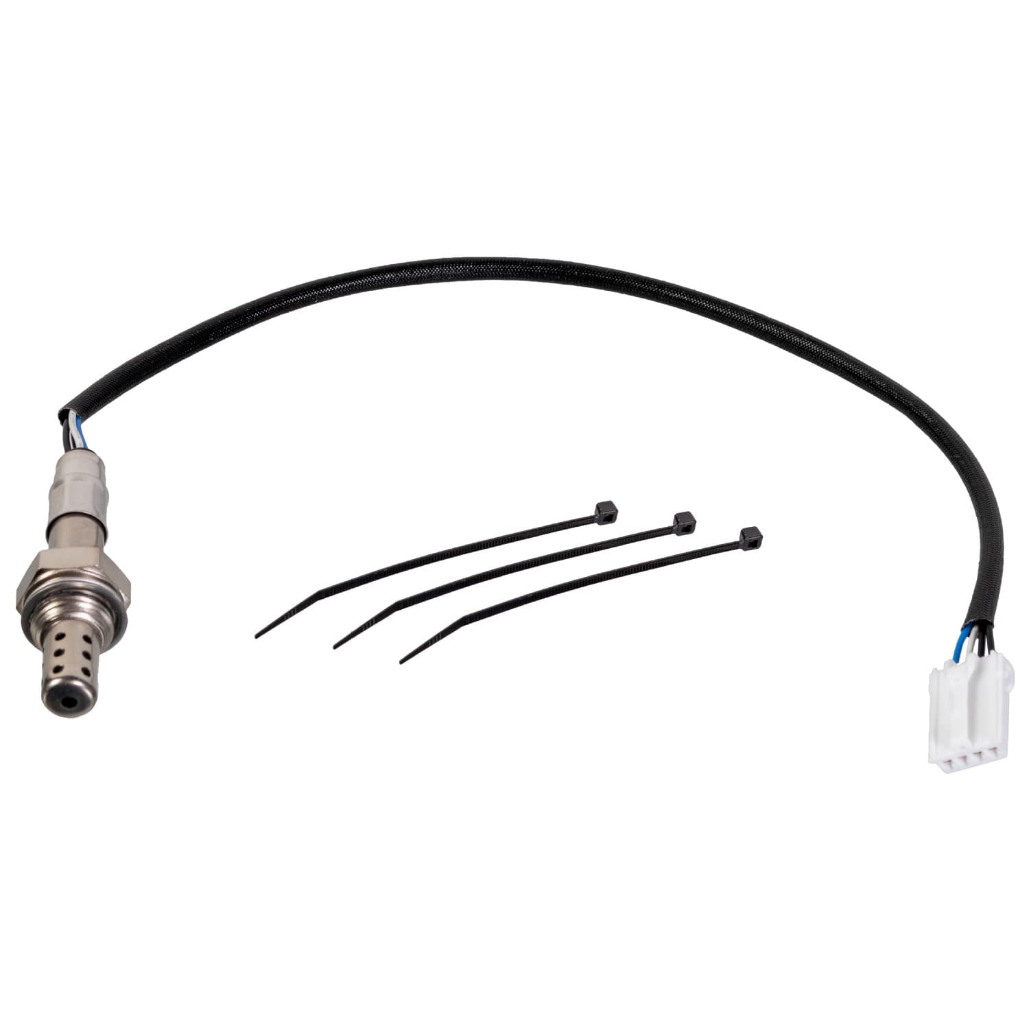 ADC47043_1.jpg