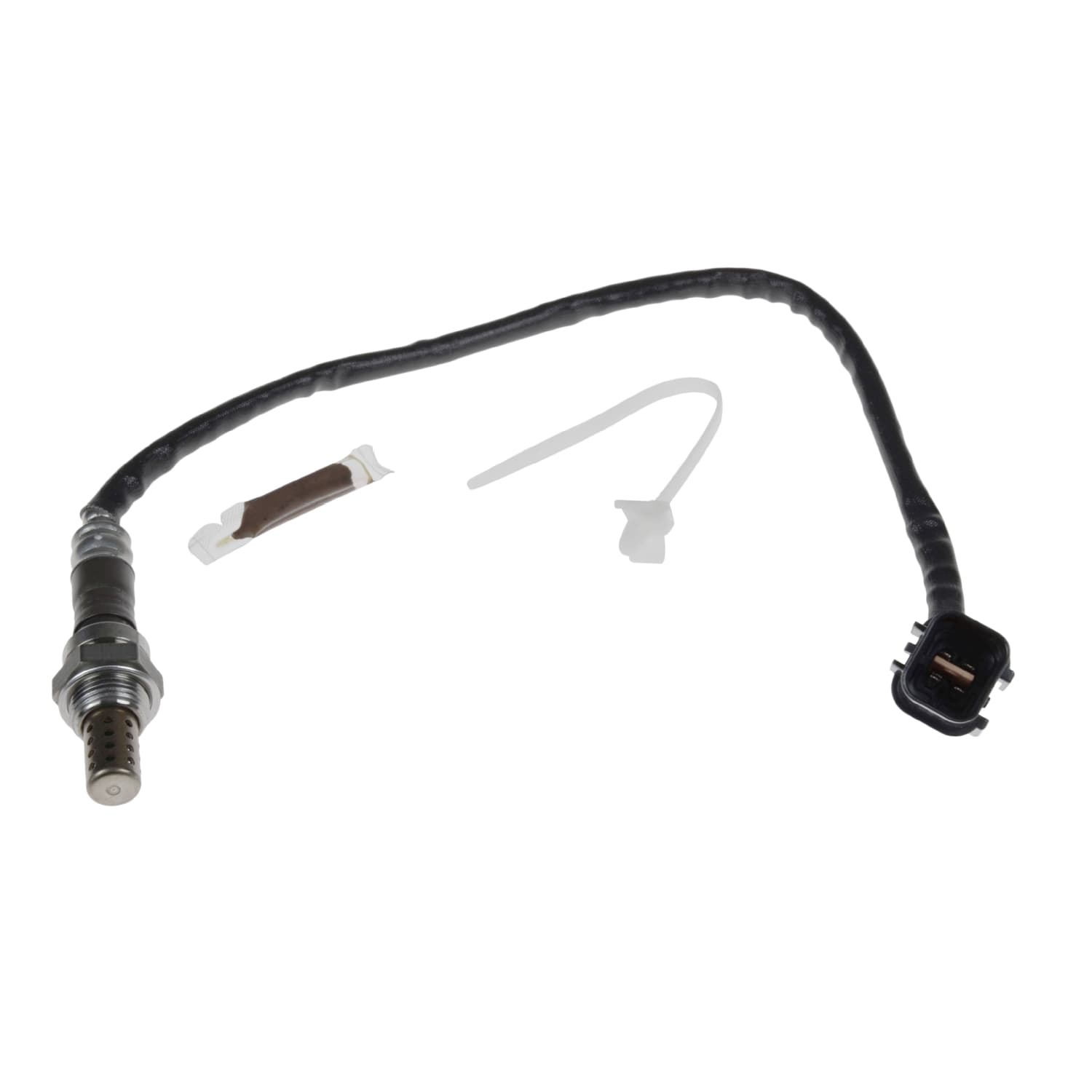 ADC47006_1.jpg