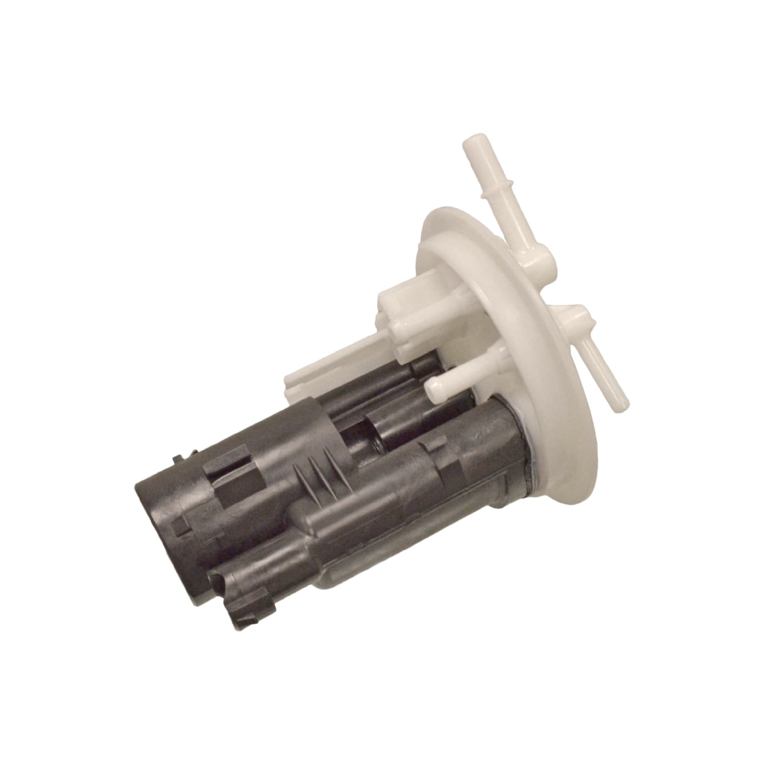 ADC42370_1.jpg