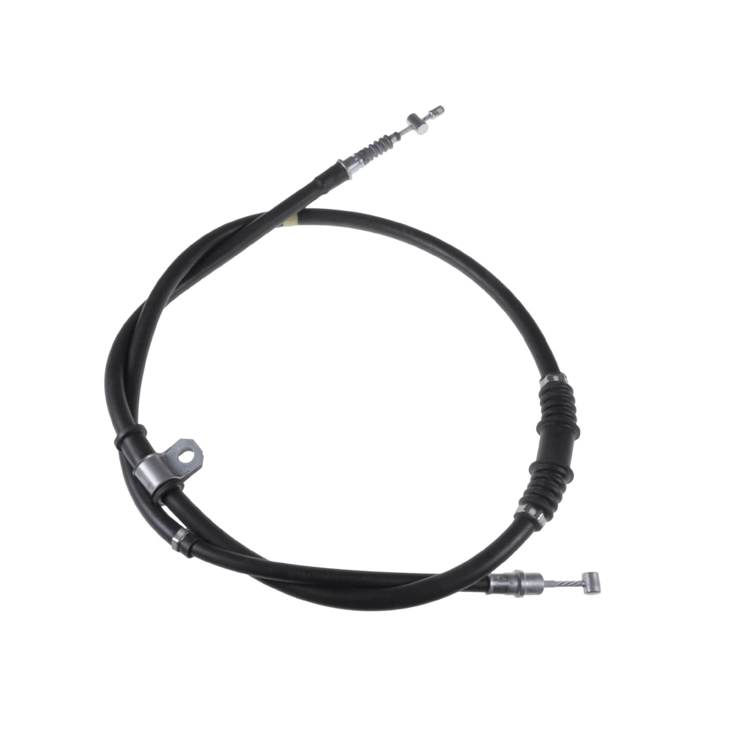ADC44695_1.jpg