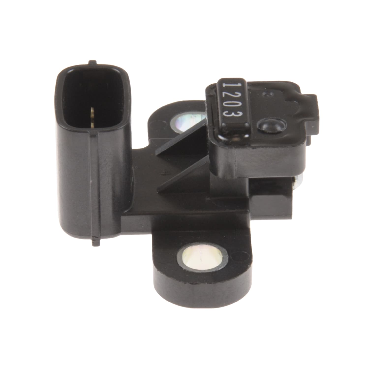 ADC47209_1.jpg