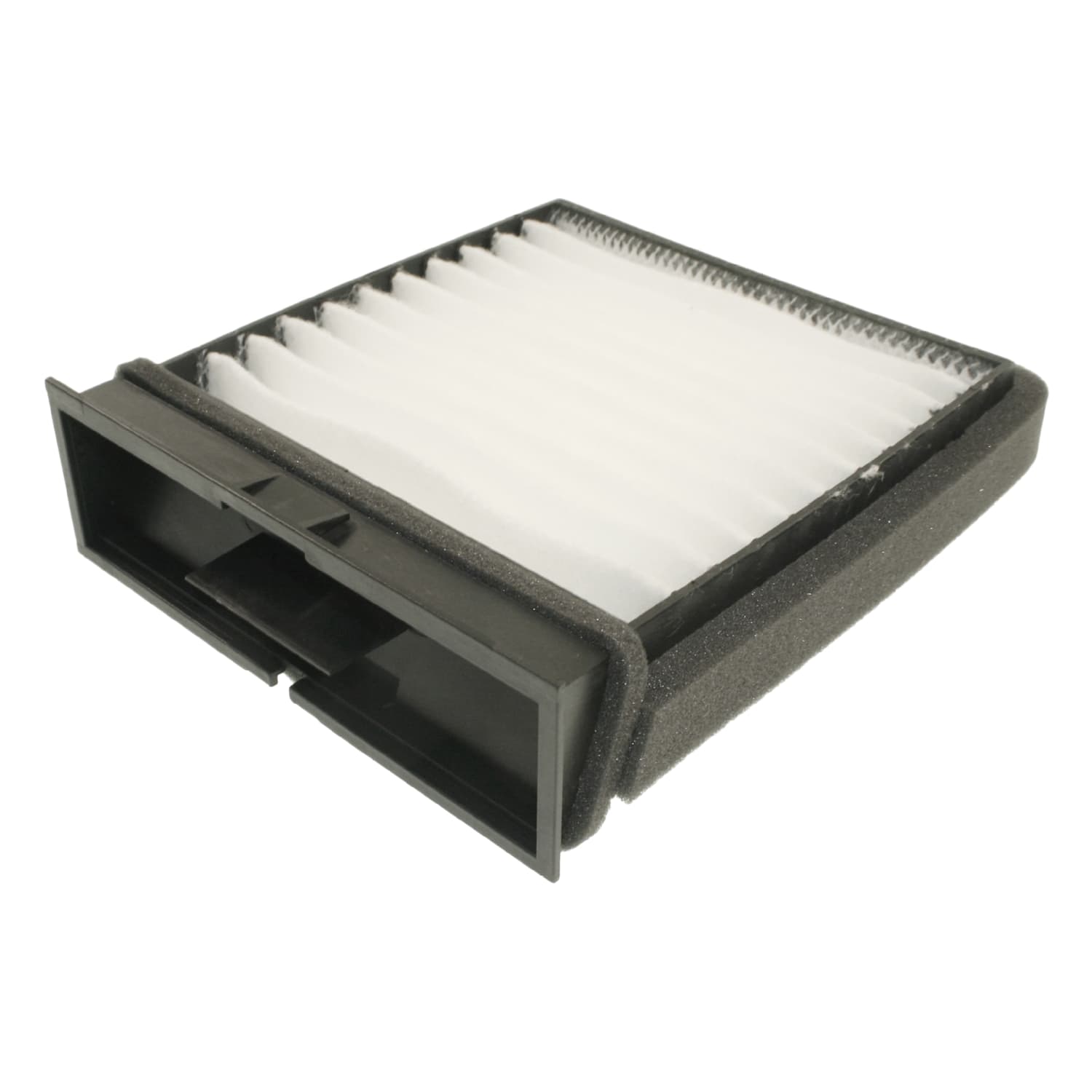 ADC42509_1.jpg