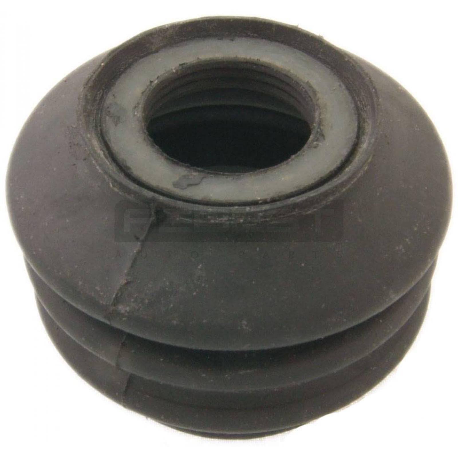 TBB-065.jpg