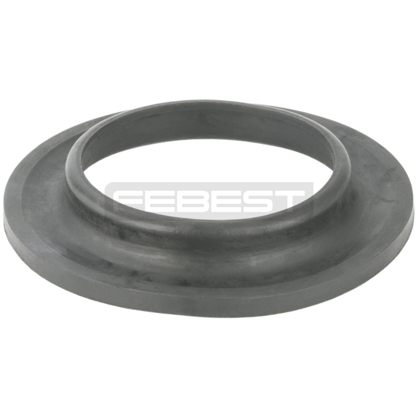 TSI-ANH10LOWR.jpg