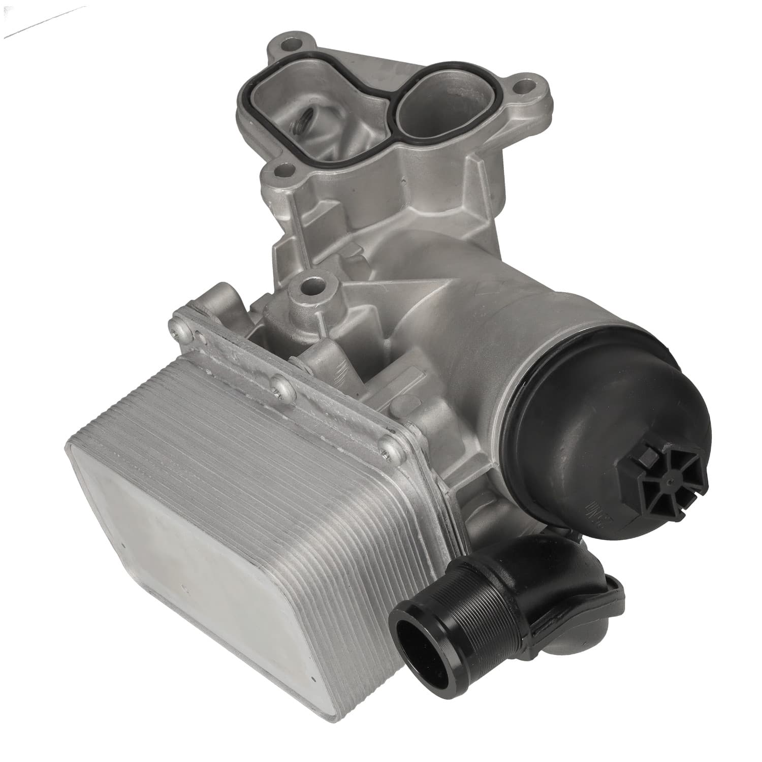 ADBP210191_1.jpg