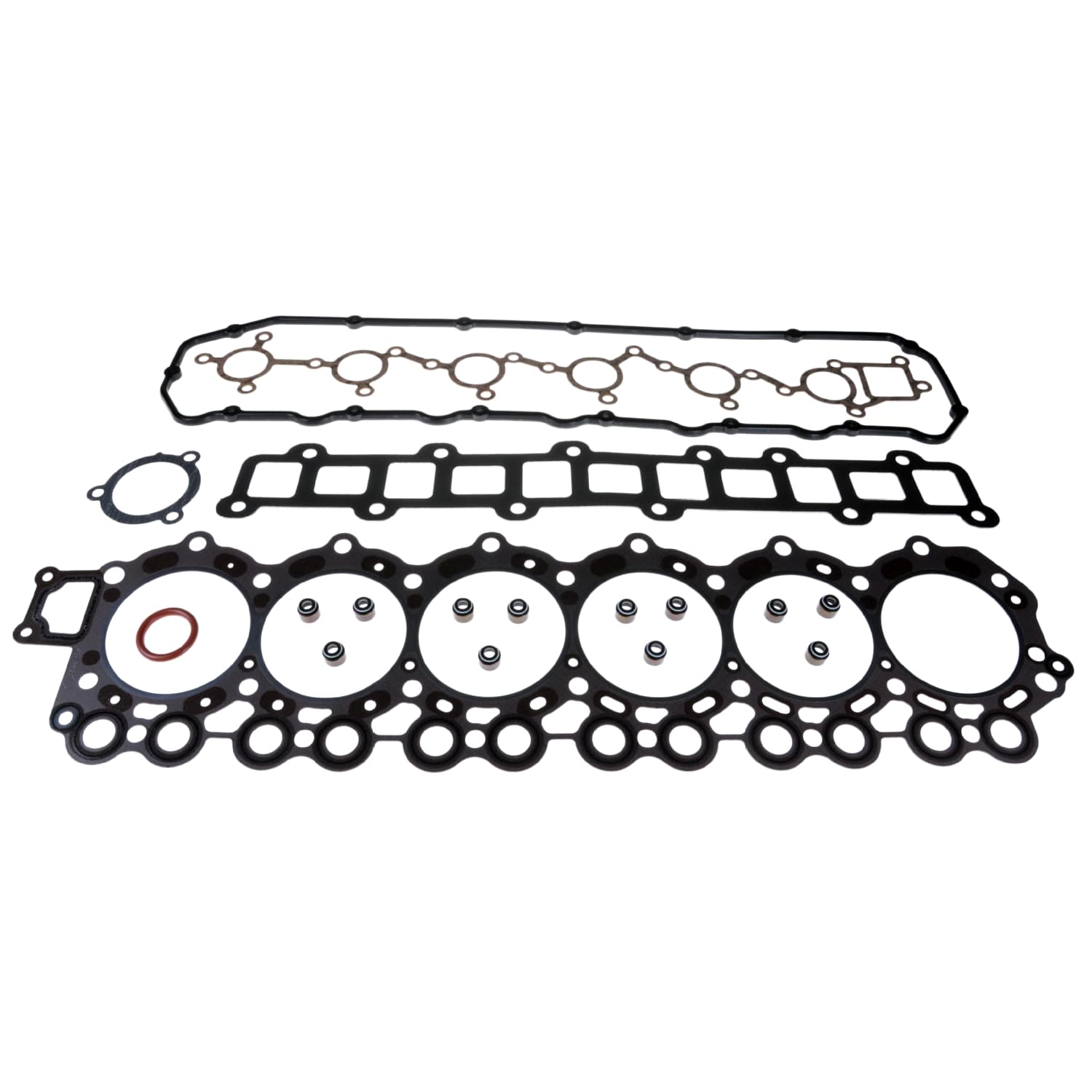 ADN162105_1.jpg