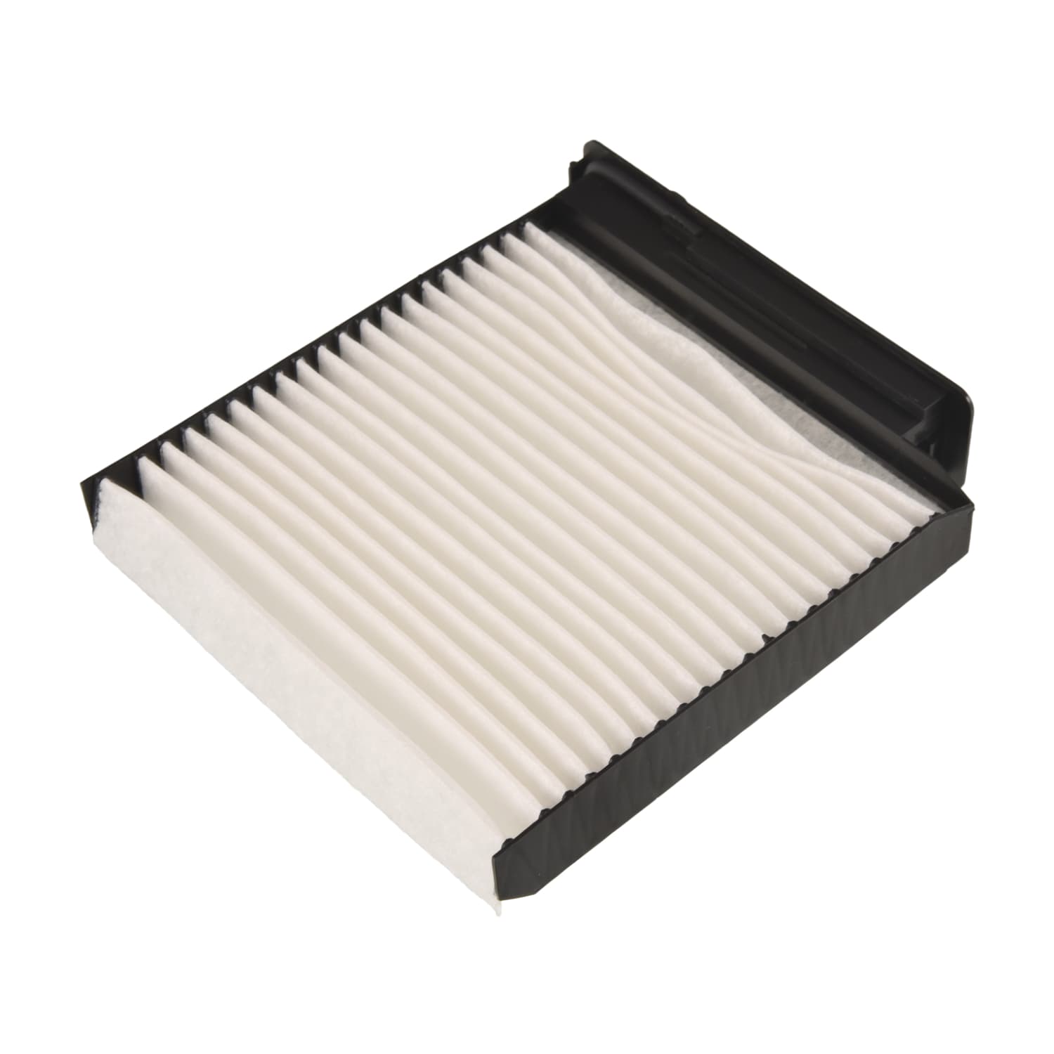 ADN12506_1.jpg