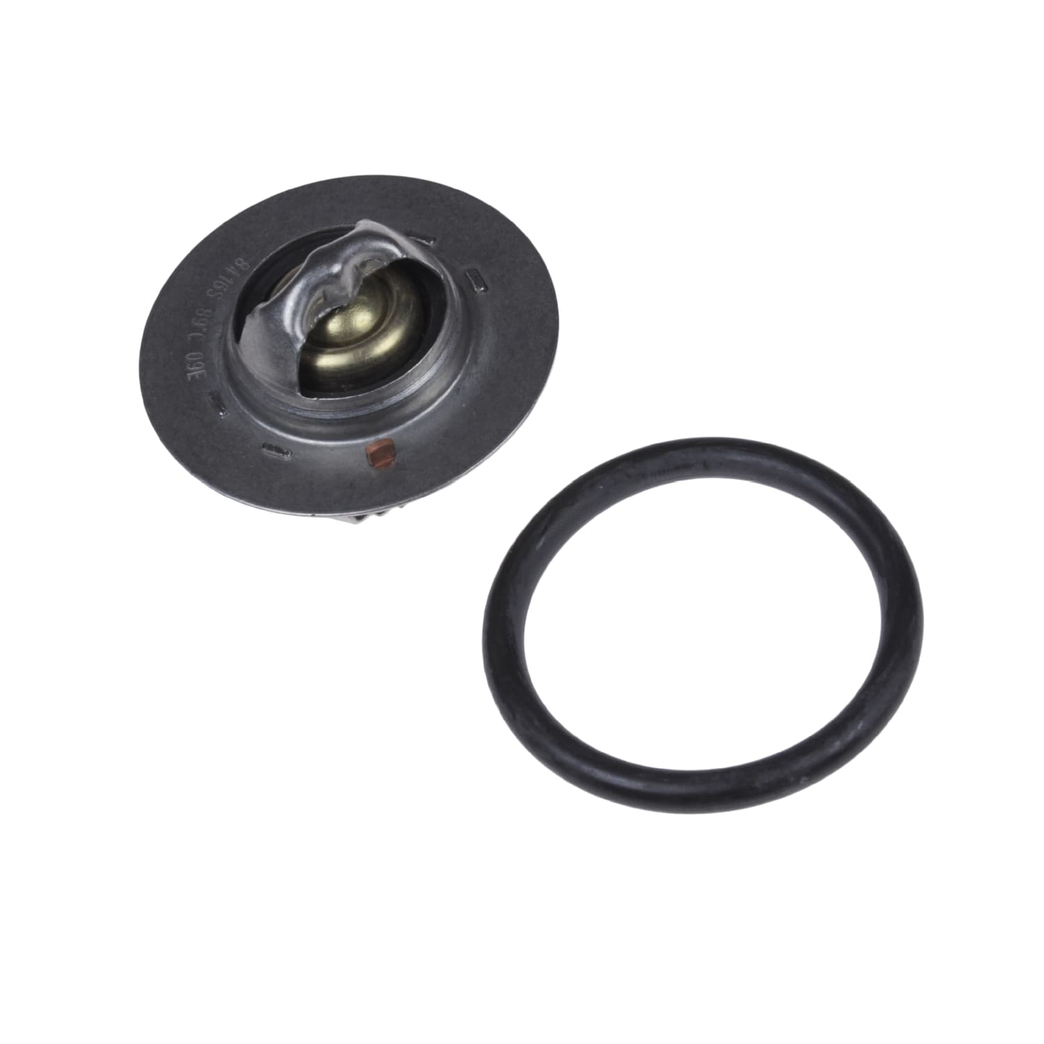 ADC49215_1.jpg