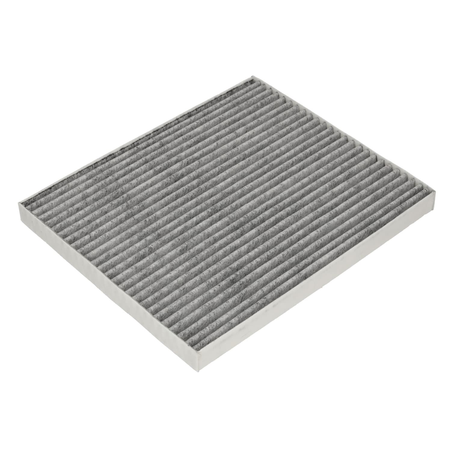 ADBP250079_1.jpg