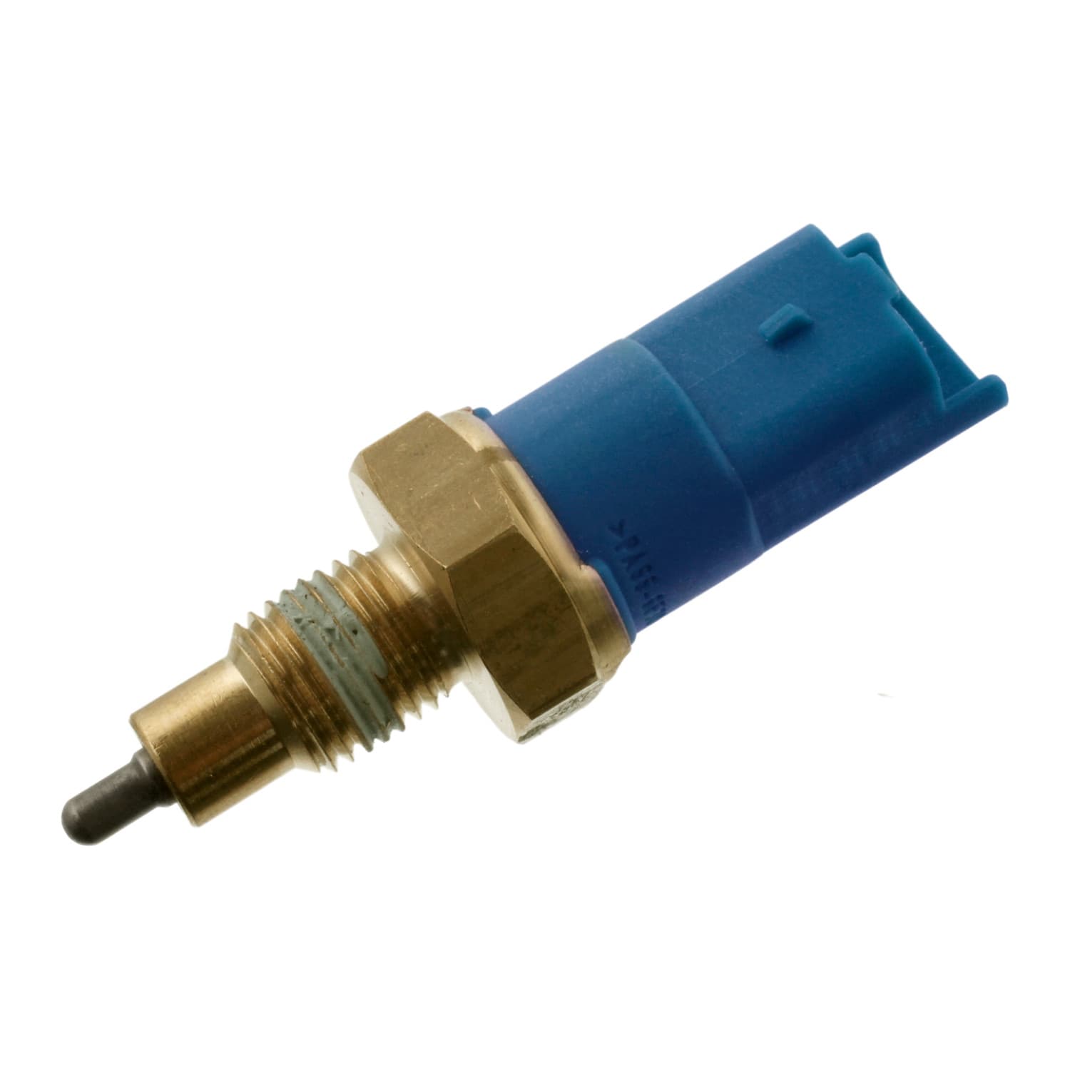 ADN11499_1.jpg