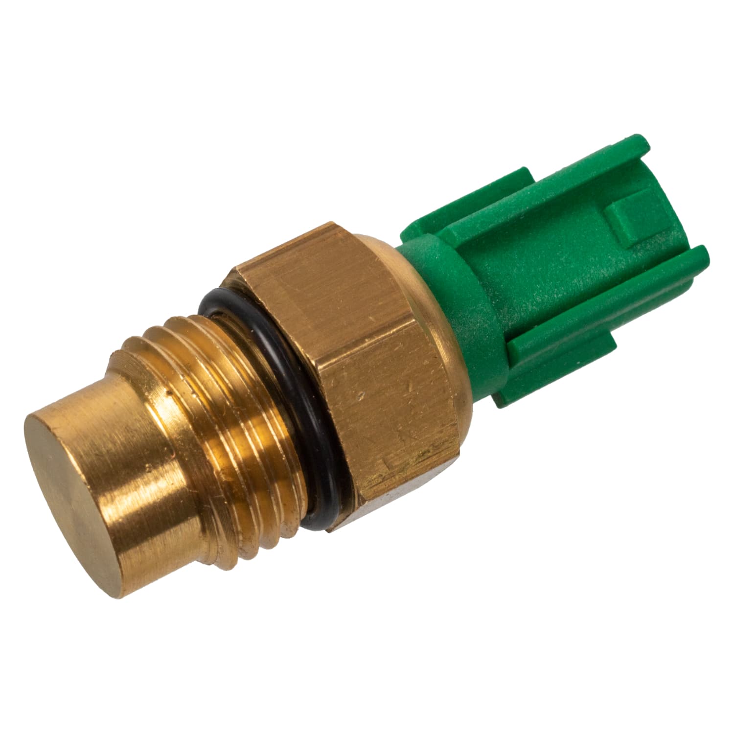 ADBP720007_1.jpg