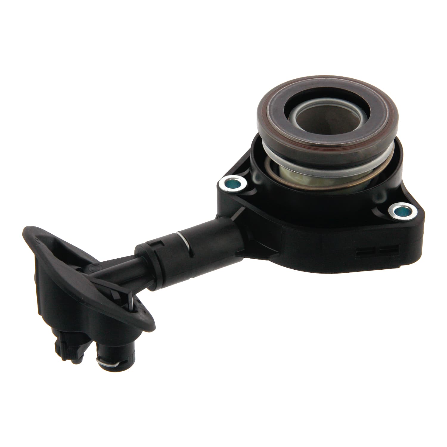 ADBP360016_1.jpg
