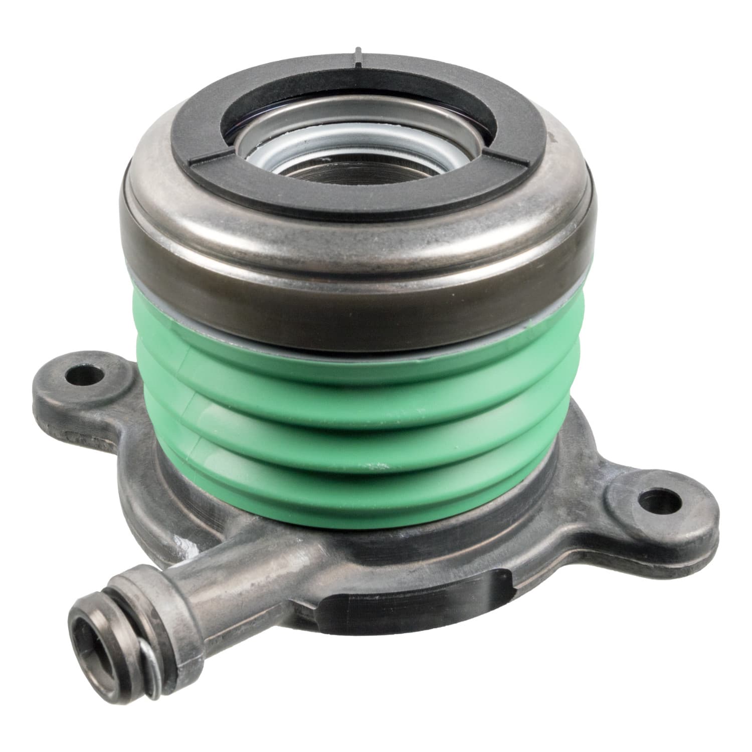 ADBP360017_1.jpg