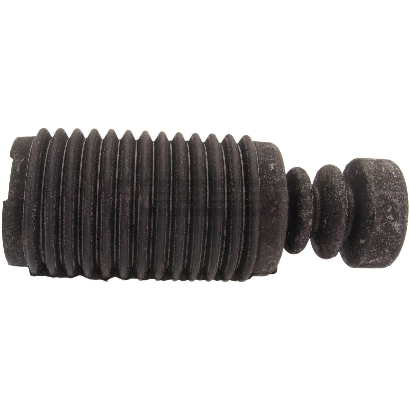 NSHB-P11SR20.jpg