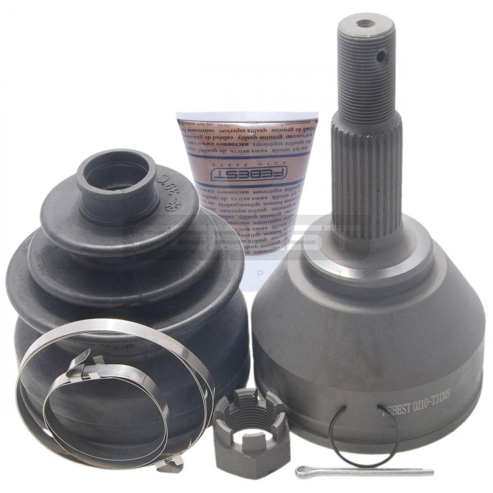 0210-T31M9.jpg