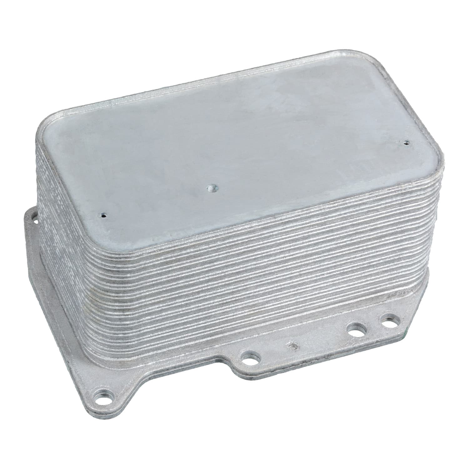 ADBP610008_1.jpg