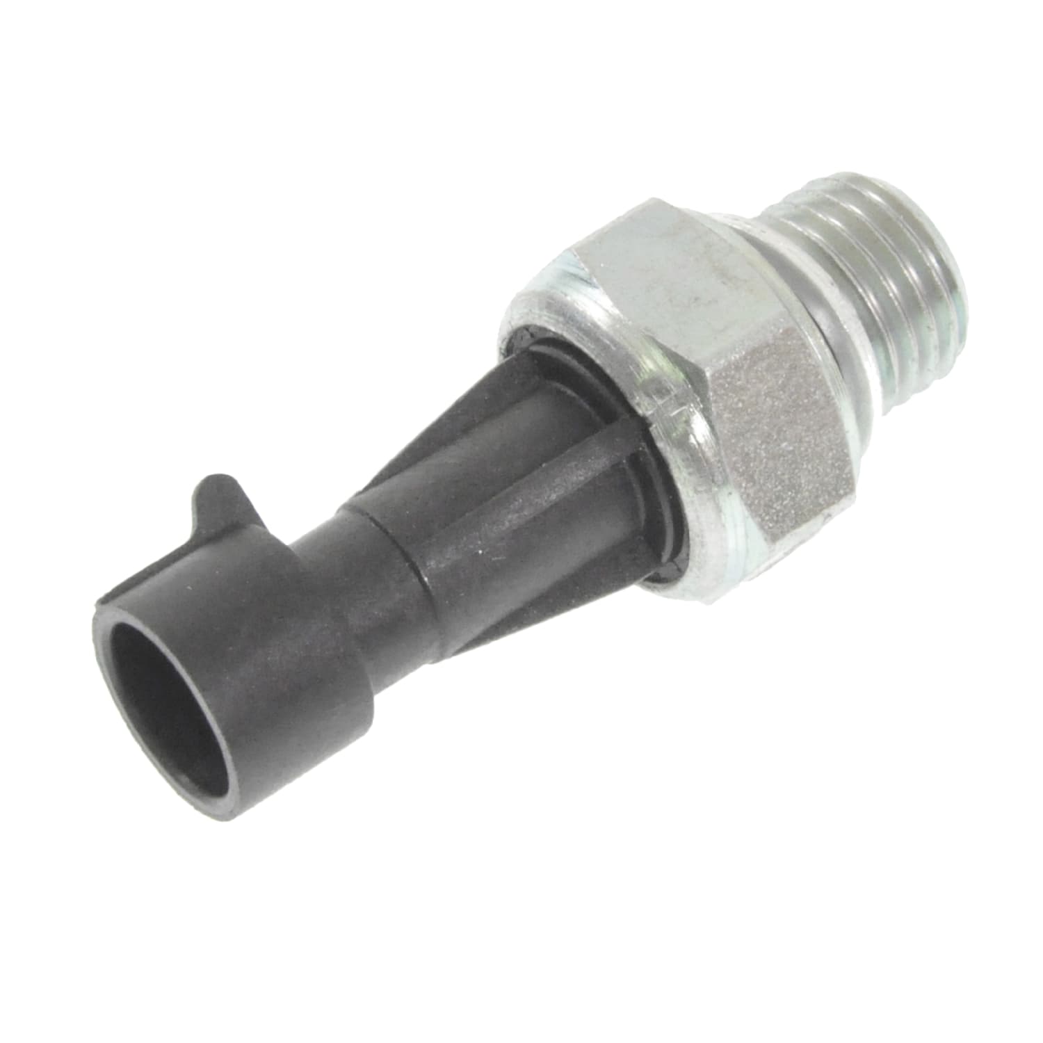 ADZ96606_1.jpg