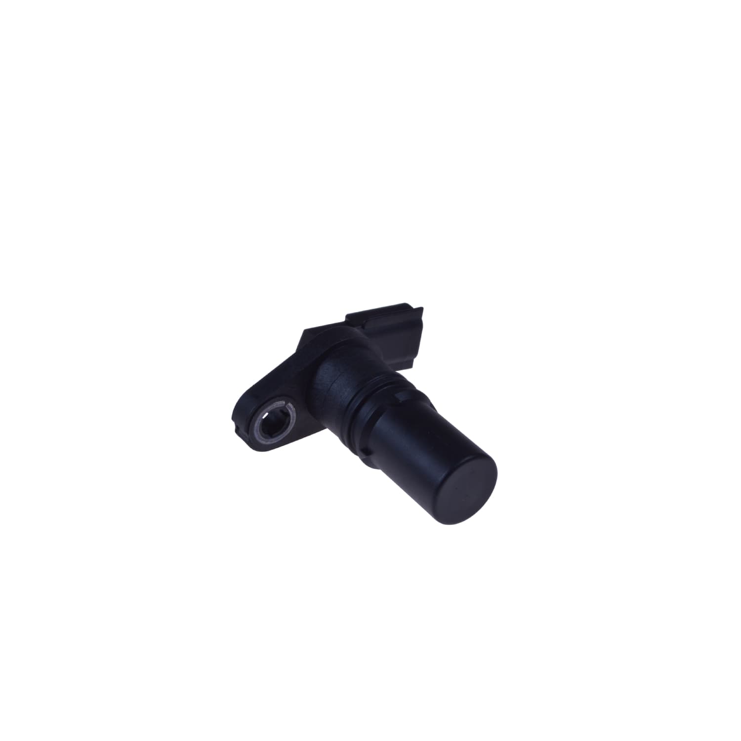 ADN17250_1.jpg