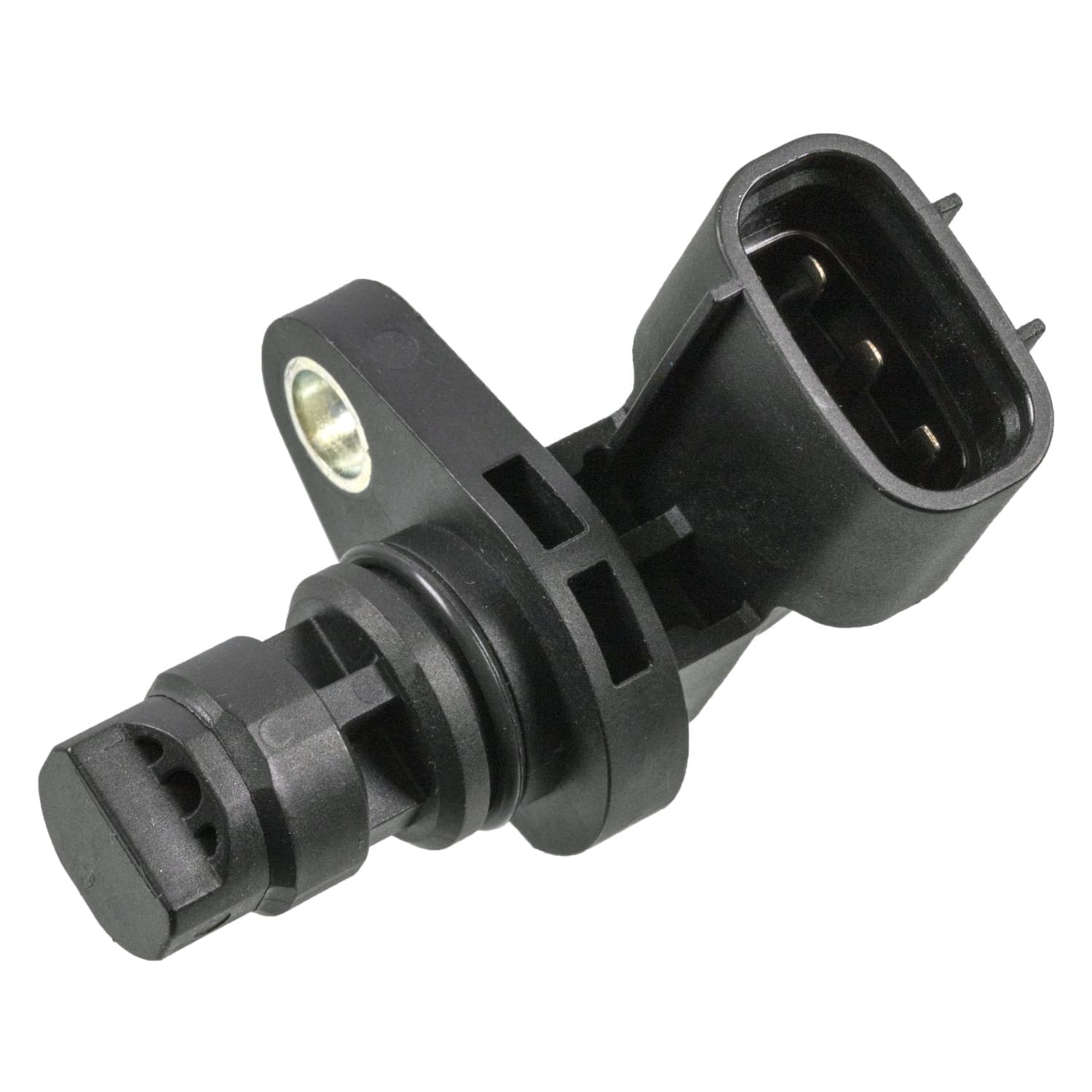 ADBP720048_1.jpg