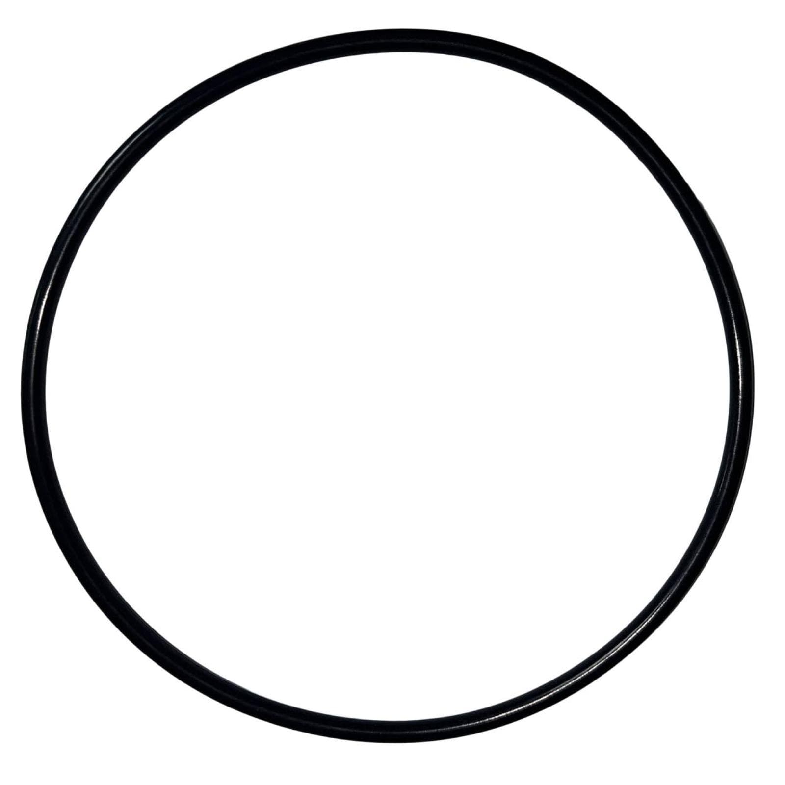 Febest O-ring drivstoffpumpe